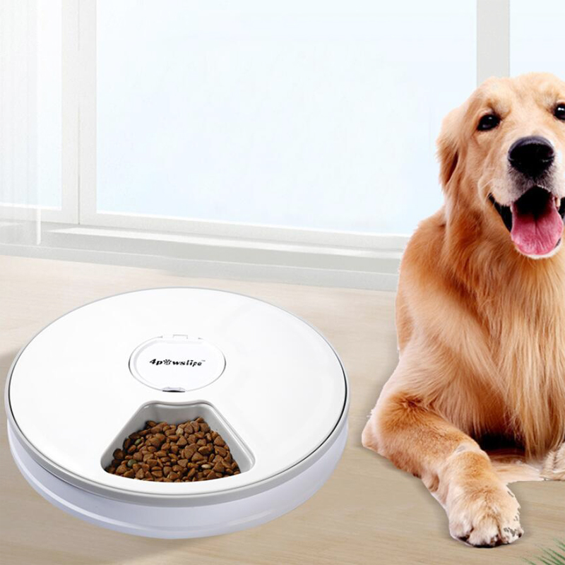 New Pet Feeder Pet Dispenser For Cat And Dog Travel Supply Automatic Smart Slow Feeder Dispenser Fixed Time Amount Of Food Bowl